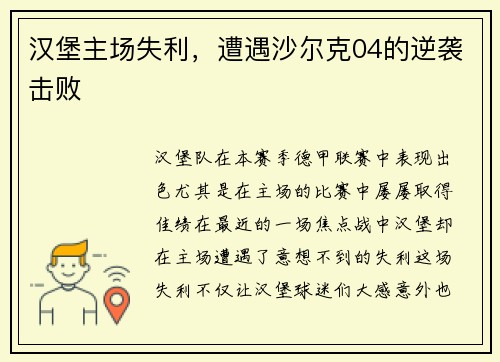 汉堡主场失利，遭遇沙尔克04的逆袭击败