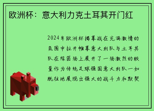 欧洲杯：意大利力克土耳其开门红